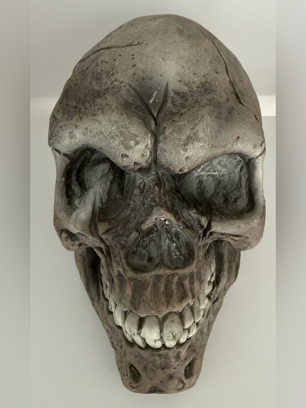 Skull Skeleton Halloween Decoration Tabletop Decor Scary Spooky Head Plastic